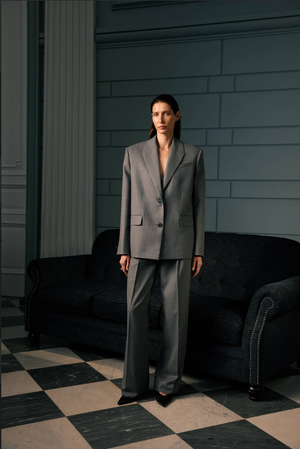 Брюки сірі frame